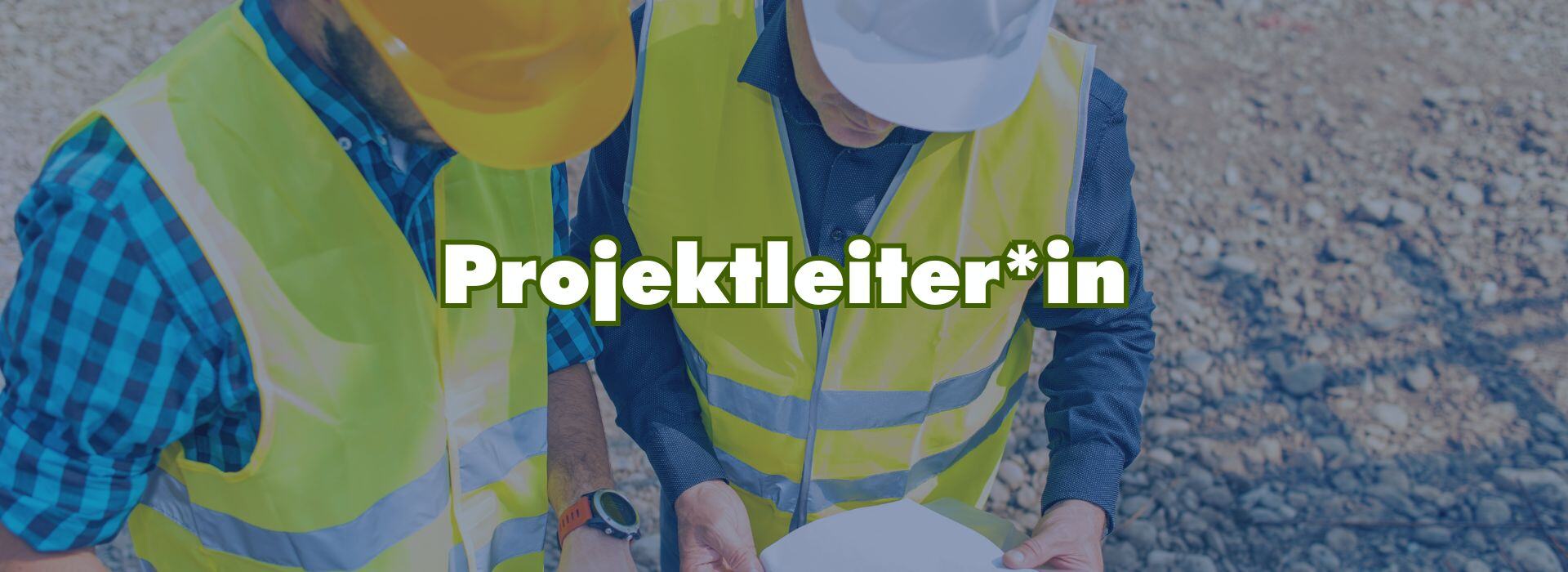 Projektleiter_in