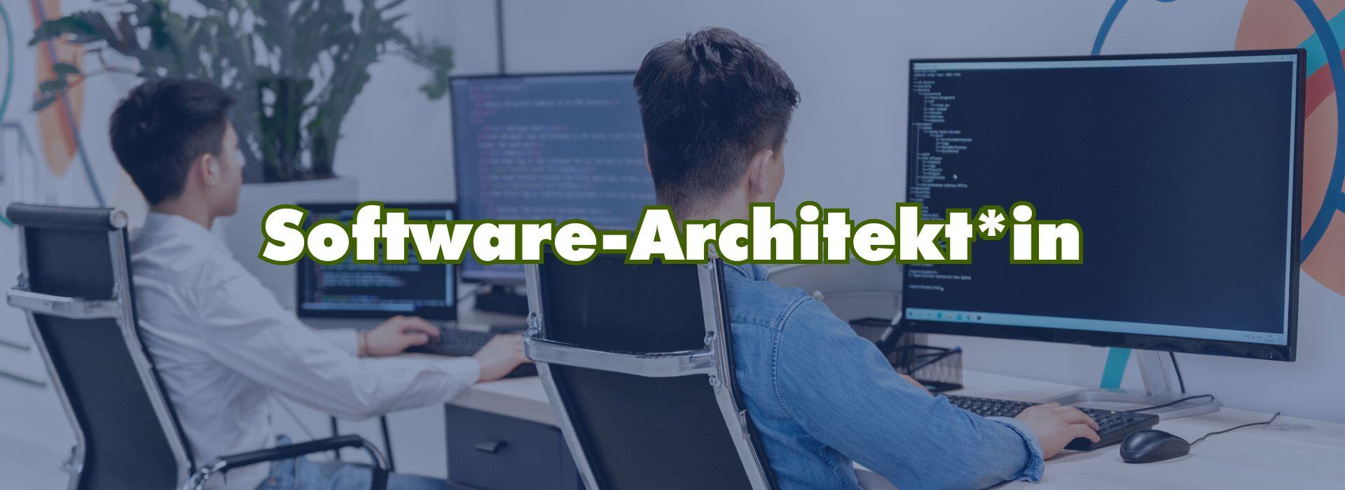 Software-Architekt_in