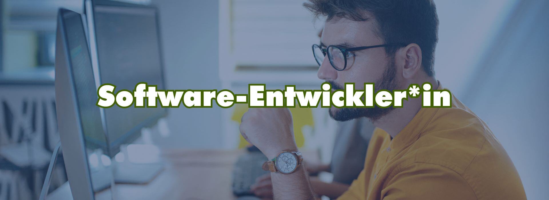 Software-Entwickler_in